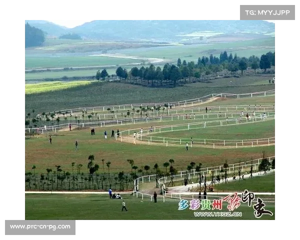 榆林体育中心智能风速监测系统应对亚高原气候变化挑战