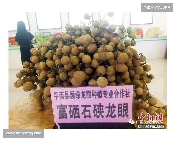 AIDA赛事医疗保障全面升级 谷含笑携手意大利C4品牌全程支持